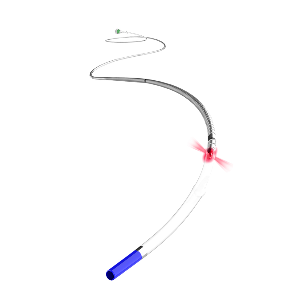 LumenCross F2 OCT Catheter for PCI Guidance