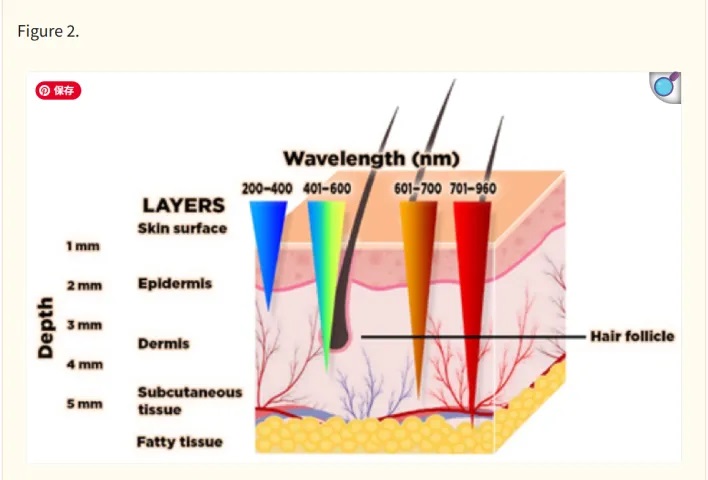 What is an Infrared Illuminator in Vein Visualization?